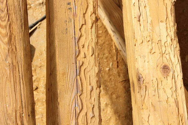 Construcción vigas de madera destruidas por ataque de insectos — Foto de Stock