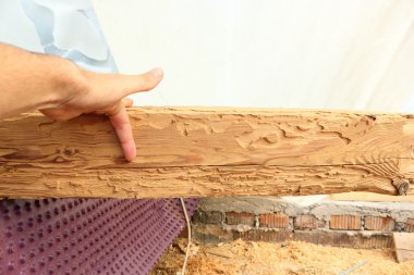 Ahşap Kiriş böcek saldırısı gösterilen
