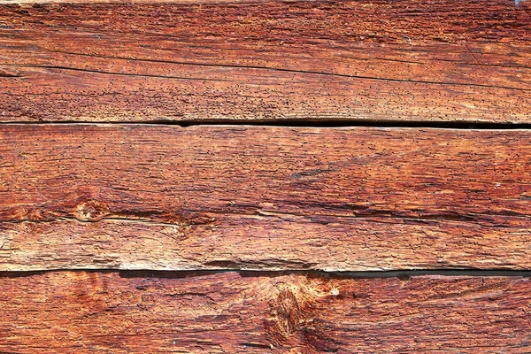 Smrkové dřevo, ukazující napadení hmyzem — Stock fotografie