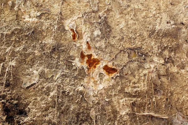 Dry rot on old wall — Stock Photo, Image