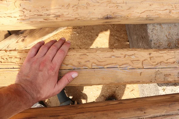 Examinando vigas de madeira danificadas — Fotografia de Stock