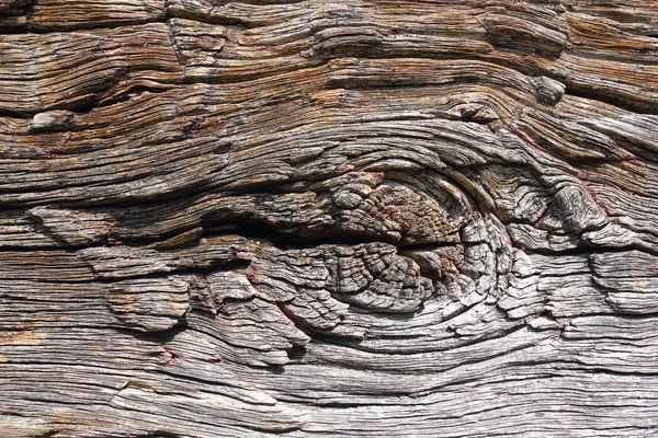 Knot on old oak wood plank — Stock Photo, Image