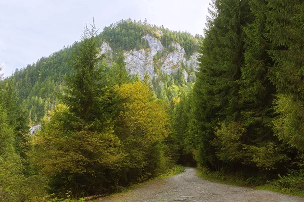 Apuseni Doğal Parkı Ndaki Dağ Yolu Görüntü Sonbahar Mevsiminde Alındı — Stok fotoğraf