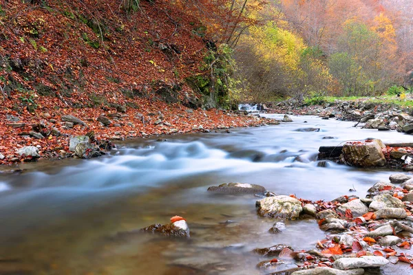 Beautiful Mountain River Apuseni Image Taken Autumn Season Scarita Belioara — Stock Photo, Image