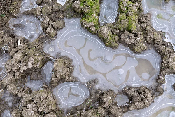 Gefrorene Kleine Teiche Hintergrund Auf Schlammigem Natürlichen Gelände — Stockfoto