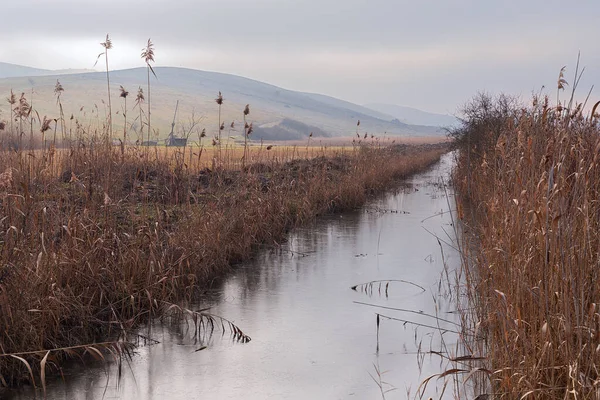 Estanque Congelado Pantano Sic Área Protegida Transilvania — Foto de Stock