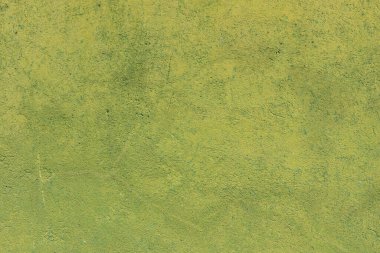 desen yeşil alçı arkaplan mimari tasarım için hazır