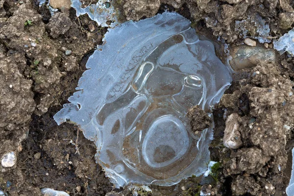 Небольшой Замерзший Пруд Болотистой Грязи — стоковое фото