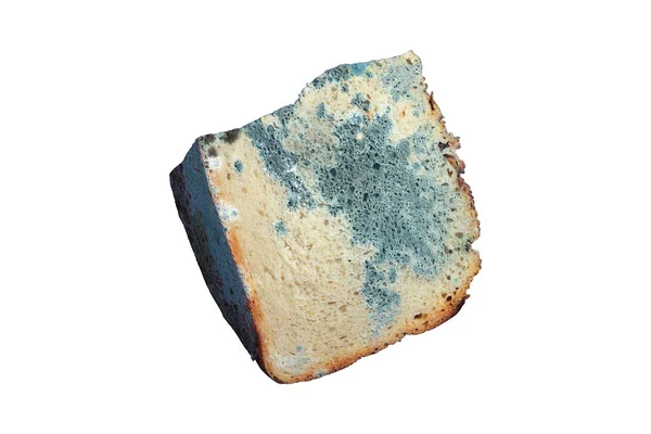 Beyaz Arkaplanda Izole Edilmiş Bir Parça Ekmek — Stok fotoğraf