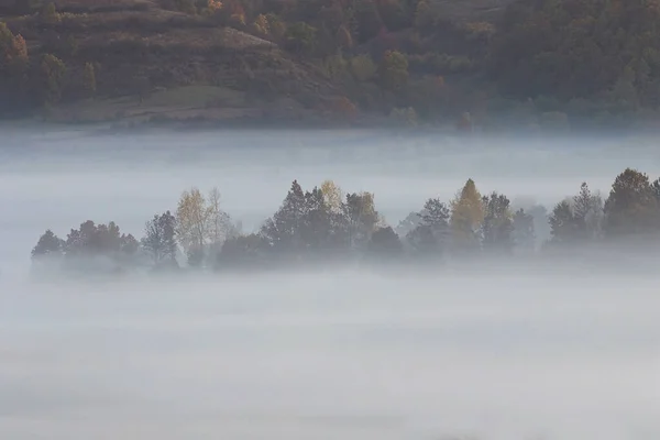 Туман Над Лесом Рассвете Изображение Сделано Трансильвании — стоковое фото