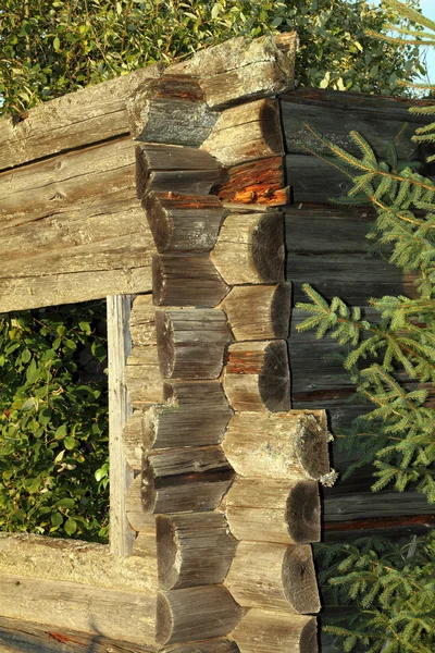 Natureza comer velho edifício de madeira — Fotografia de Stock