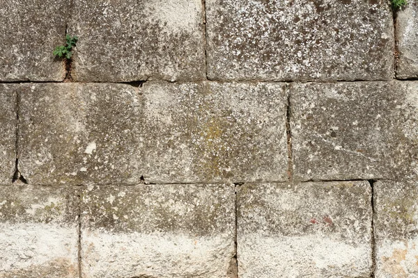 Ancient stone wall texture — Stock Photo, Image