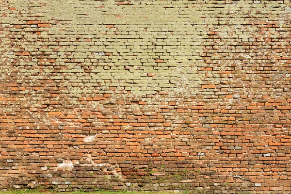 モスのれんが造りの壁のテクスチャ — ストック写真