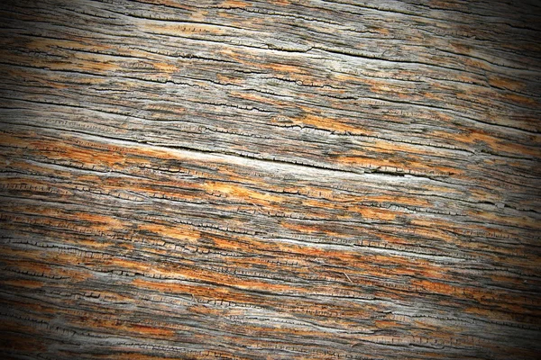 Textured ancient oak wood — Stock Photo, Image