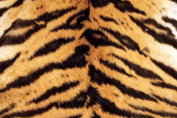 Tigre hermosa textura de piel real — Foto de Stock