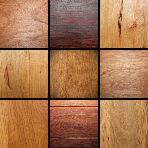 Real wood veneer collage — Stock Photo, Image