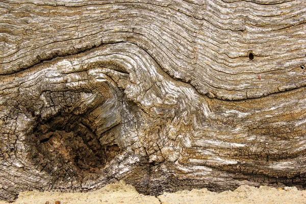 古代的橡木板表面 — 图库照片