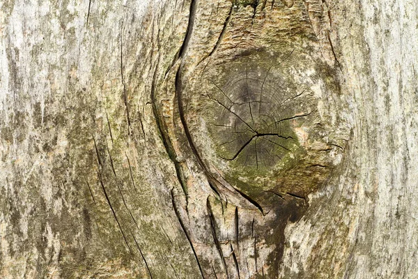 Uzel na starověké povrch dřeva — Stock fotografie