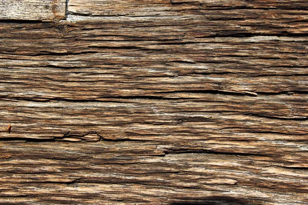 Fibers on old oak wood — Stock Photo, Image