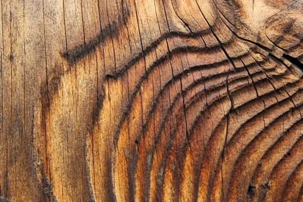 Beautiful natural pattern on spruce plank — Stock Photo, Image