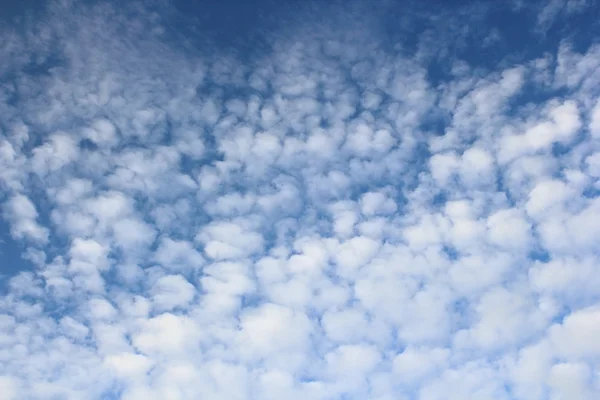 Beautiful tiny clouds on sky background — Stock Photo, Image