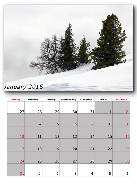 Nature calendar january — Stock Photo, Image