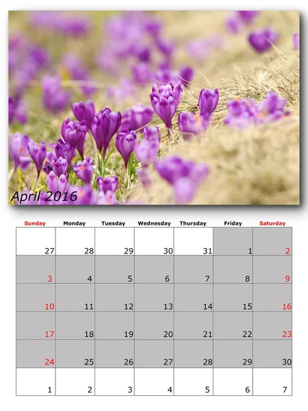Nature calendar april — Stock Photo, Image