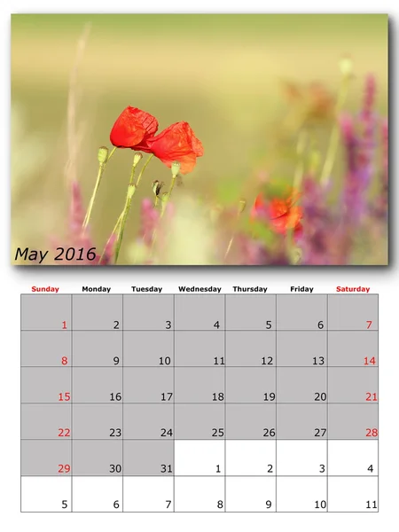 Naturkalender kann — Stockfoto