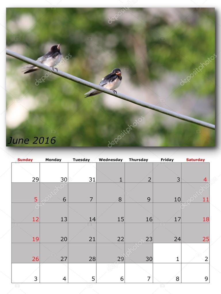 garden birds calendar  june 2016
