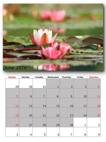 Układ strony Kalendarz przyrody czerwca — Zdjęcie stockowe