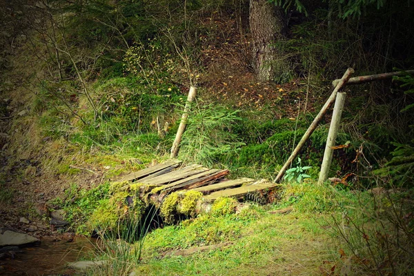 Petit pont en bois endommagé — Photo