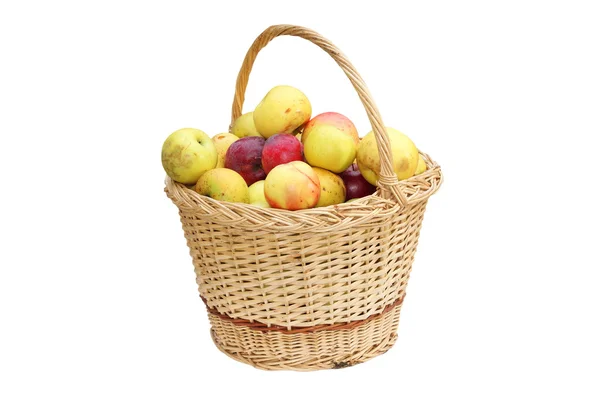 Wattle handmade basket with apples — Stock Photo, Image