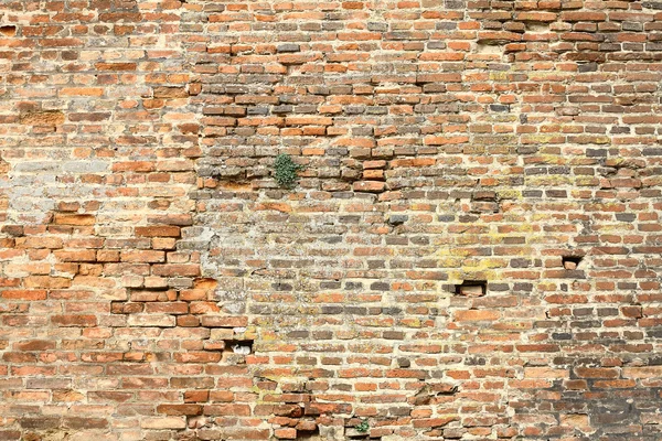 Vieux mur extérieur endommagé de brique — Photo