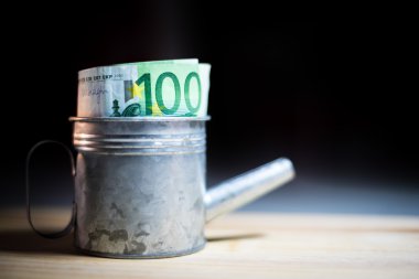 Euro para banknot galvanizli sulama silindir.