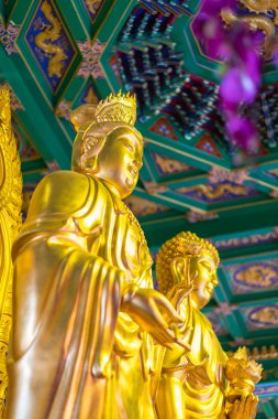 Çin tapınak Tayland altın buddha heykeli. (Wat Leng Noei 