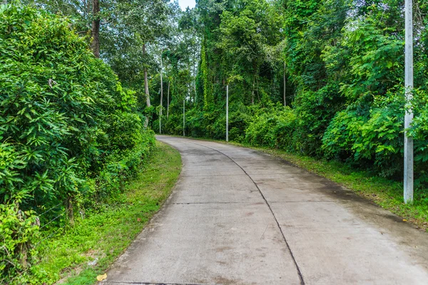 Carretera de campo en Tailandia — Foto de Stock