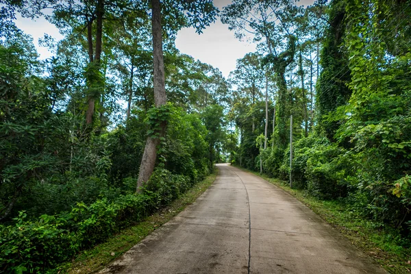Country road in Thailand — Stock Photo, Image