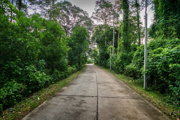 Carretera de campo en Tailandia — Foto de Stock