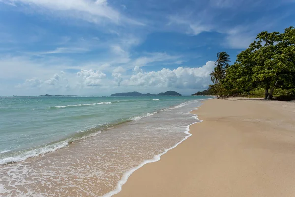 Güneşli gökyüzü olan tropik plajdan deniz manzarası. Koh Samui adasının yaz cenneti plajı. Tropikal sahil. Tayland 'da tropik deniz. Ufukta bulutlar olan egzotik yaz plajı. Okyanus kumsalı, rahatla, dışarı çık.