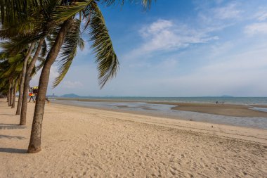 Bangsaen sahilinde akşam vakti hindistan cevizi ağacı. Covid-19 durumundan dolayı çok az insan..