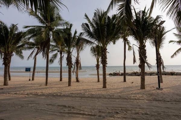 Bangsaen sahilinde akşam vakti hindistan cevizi ağacı. Covid-19 durumundan dolayı çok az insan..