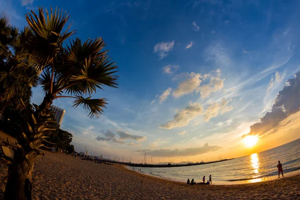 Tropisk strand på solnedgången, Pattaya Beach, Thailand, fisheye view — Stockfoto