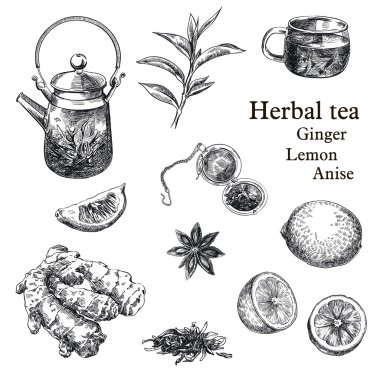 doğal çay, limon, zencefil ve anasonu