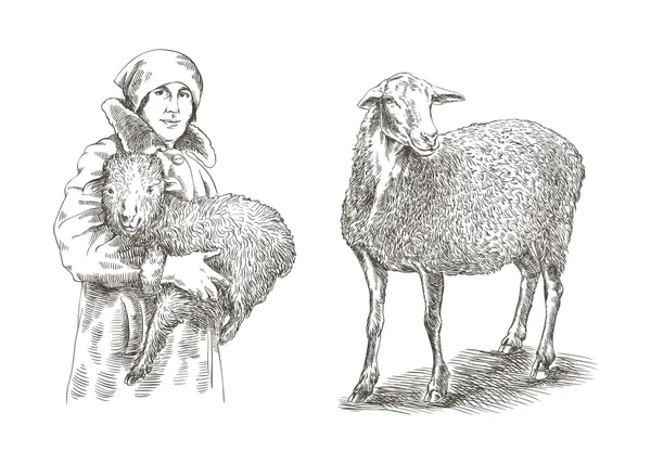農家の女性両手で子羊を保持 — ストックベクタ