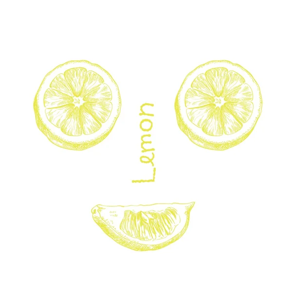 Boceto de color limón — Vector de stock