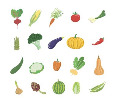 sebze renkli simgeler