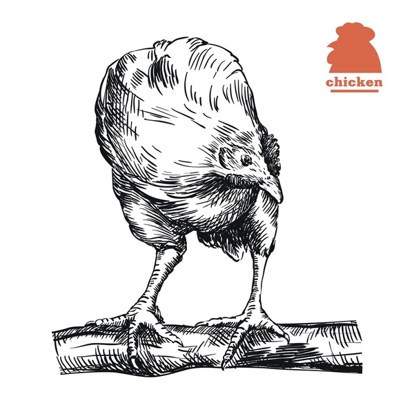 Kyckling står på Abborren — Stock vektor