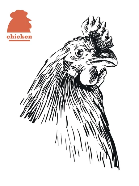 Kyckling head skiss — Stock vektor
