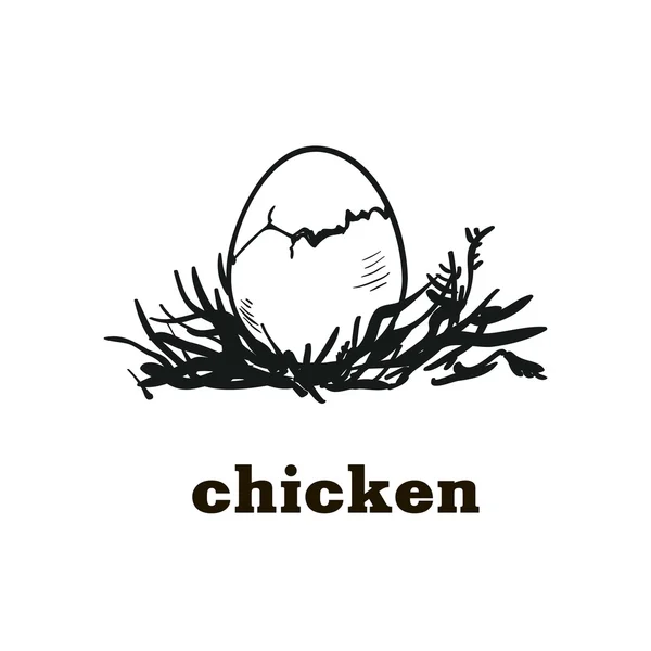 Chicken egg sketch — Stock Vector