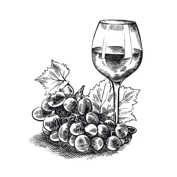 Degustación de vinos de época — Vector de stock